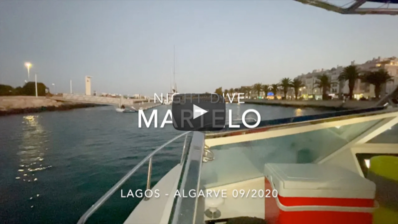 YouTube Video Night Diving Martelo