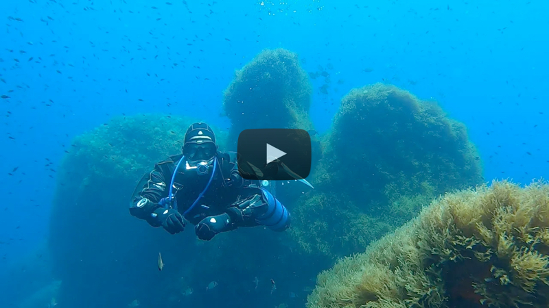 YouTube Video Sidemount Essentials Training